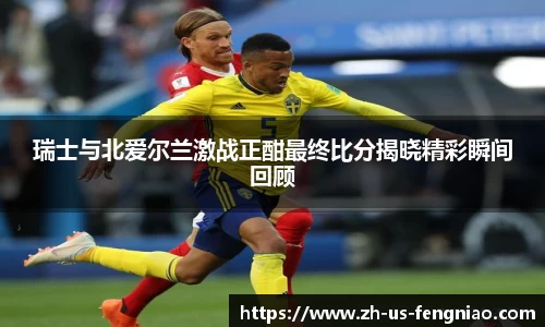 蜂鸟电竞官方网站